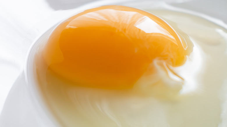 Raw egg with a cloudy egg white.