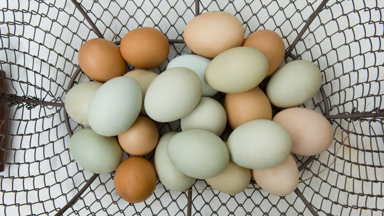 Wire basket of eggs