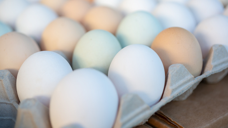 Carton of different colored eggs