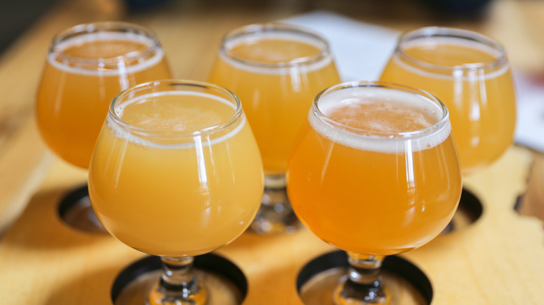 Flight of hazy IPAs