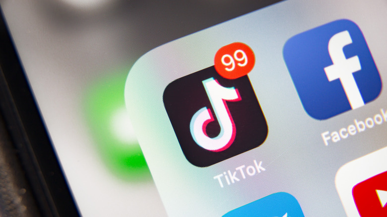 TikTok app on phone