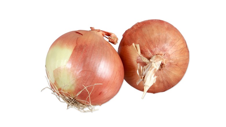 Two jumbo yellow onions from Trader Joe's
