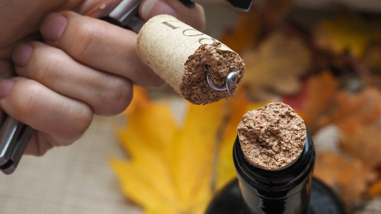 broken wine cork