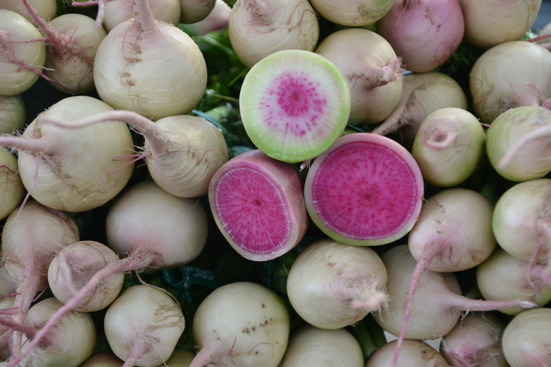 Watermelon Radish by  Suzie's Farm via flickr