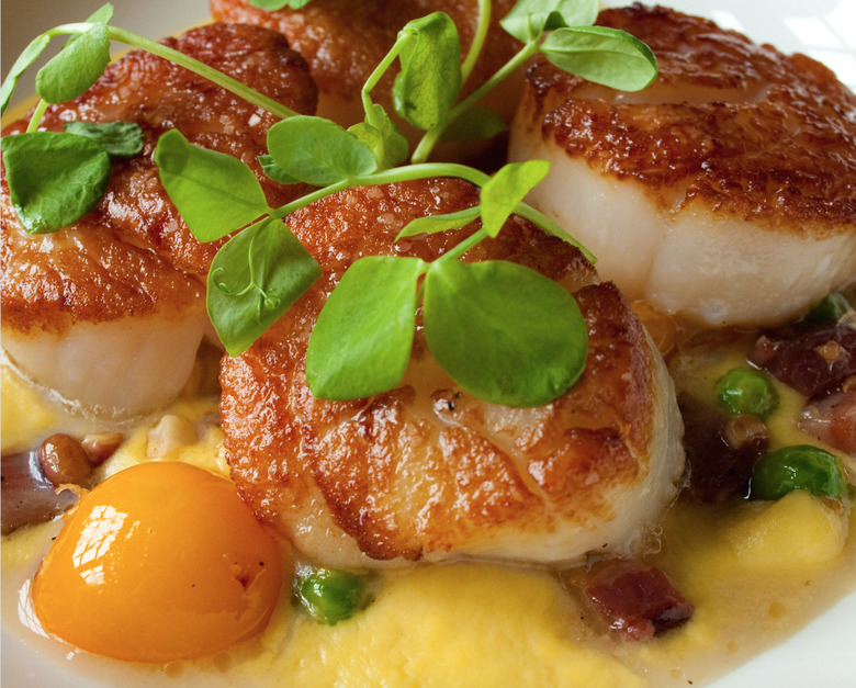 scallops