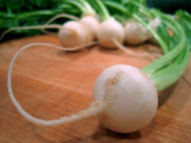 turnips_0