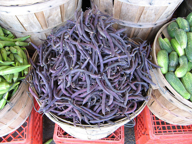 Purple Wax Beans