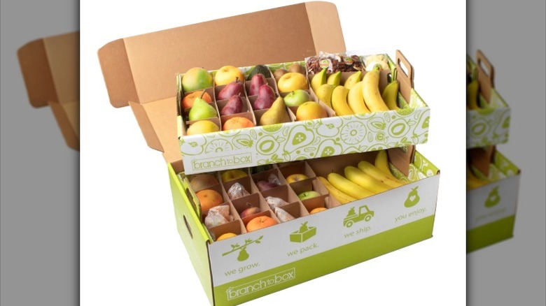 Branch to Box Jumbo Fruit and Snackette Box from Costco