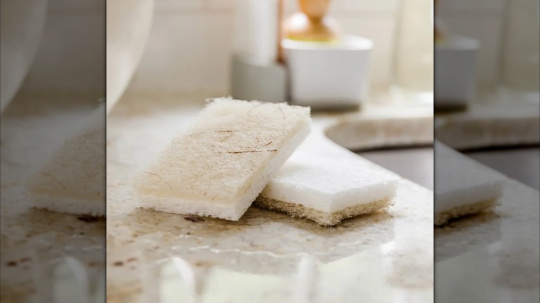 Full Circle Coconut Heavy-Duty Sponges on a kitchen counter