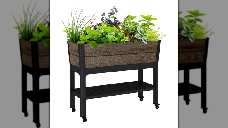 A Keter Signature Rolling Raised Garden Bed