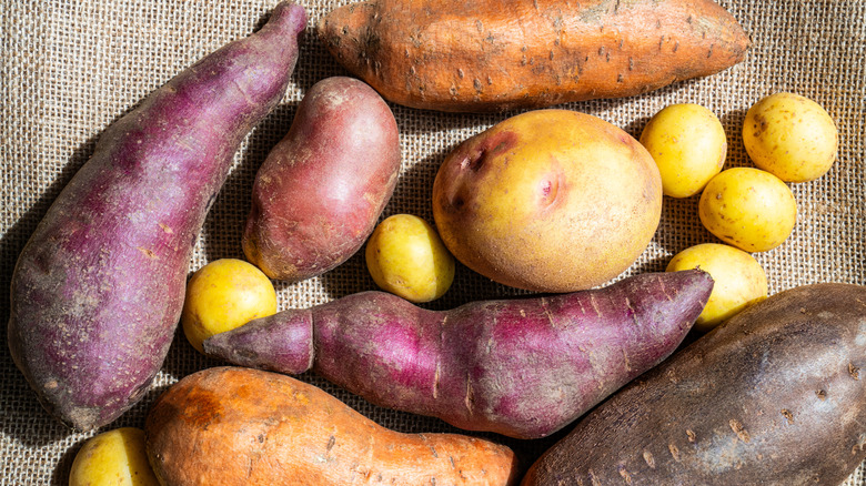 A variety of potatoes on burlap.