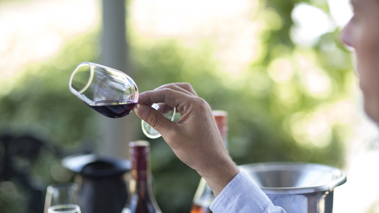 Person examining a glass of wine