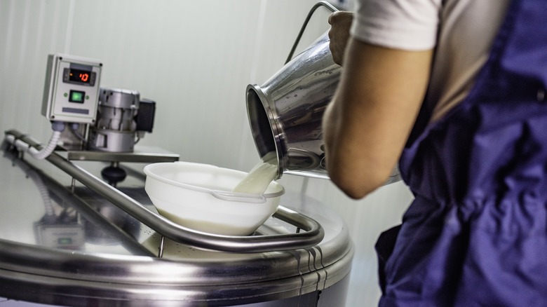 woman pouring milk in factory