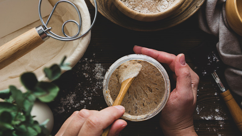 Hands holding a jar with sourdough starter 