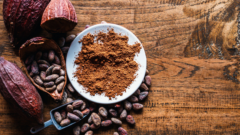 A bowl of cocoa powder next to a cacao pod and nibs