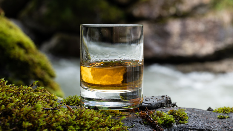 Glass of Scotch whisky with nature background