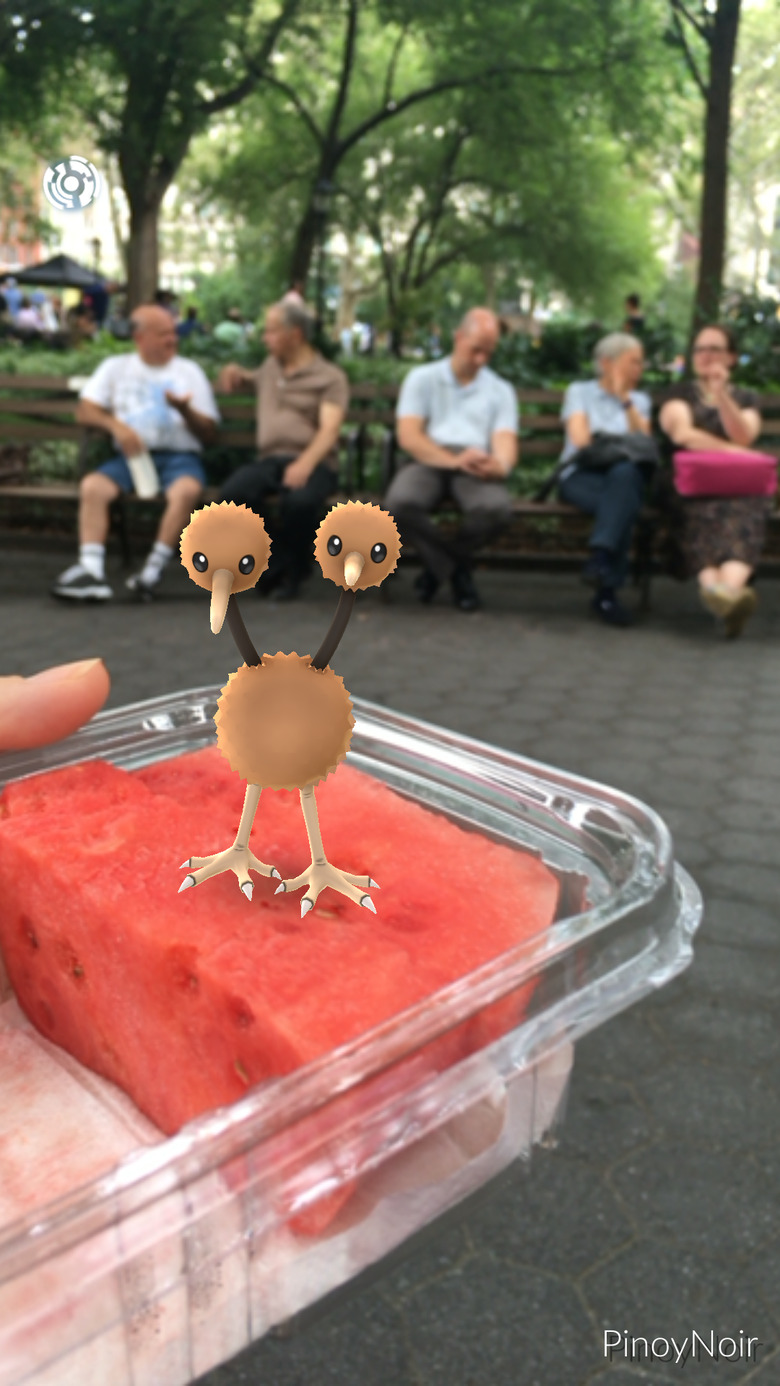 Doduo spotted in Madison Square Garden