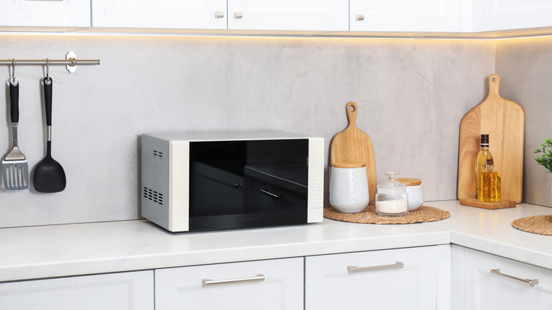 A microwave on a counter.