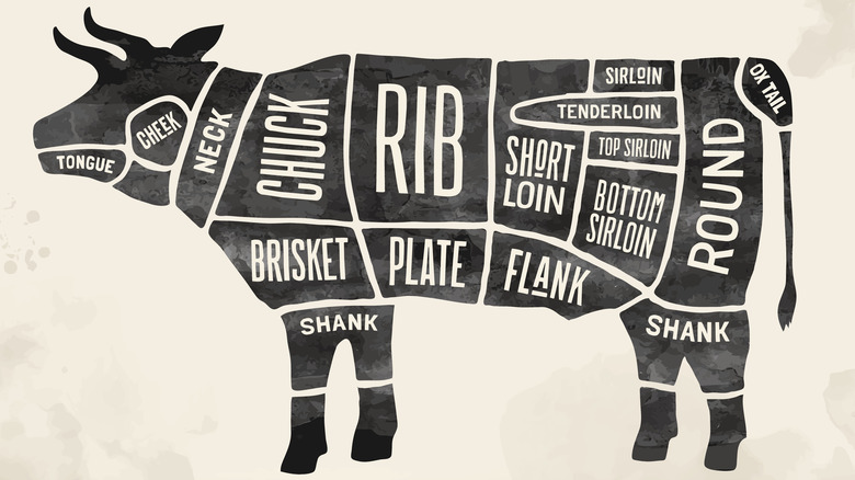 Butcher cow diagram