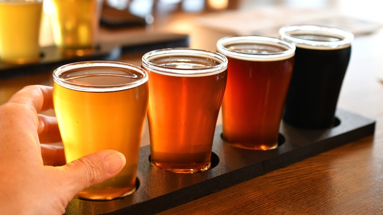 craft beer flight of different styles