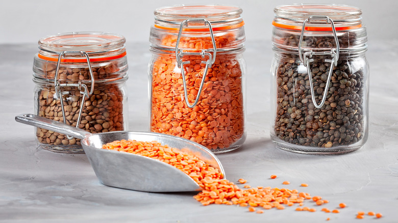 green, brown, and red lentils lined up in jars behind a medium scooper filled with red lentils
