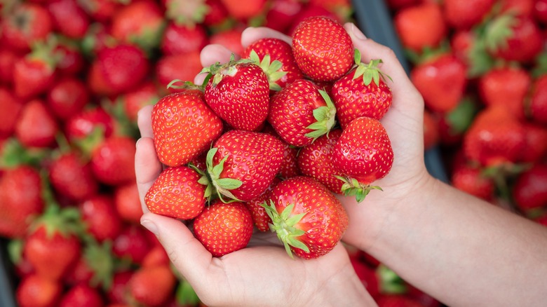 Person holding strawberries