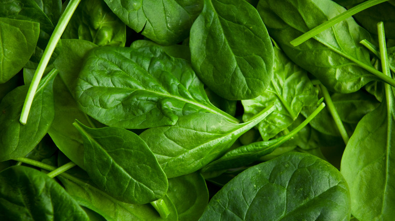 Fresh spinach leaves
