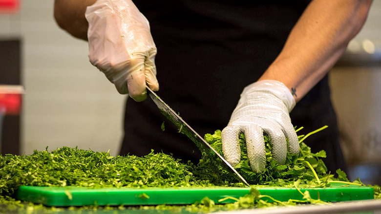 Chipotle staff member chopping cilantro with cut resistant glove under vinyl gloves