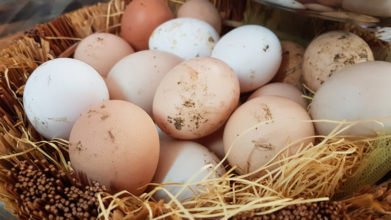 unwashed farm fresh eggs