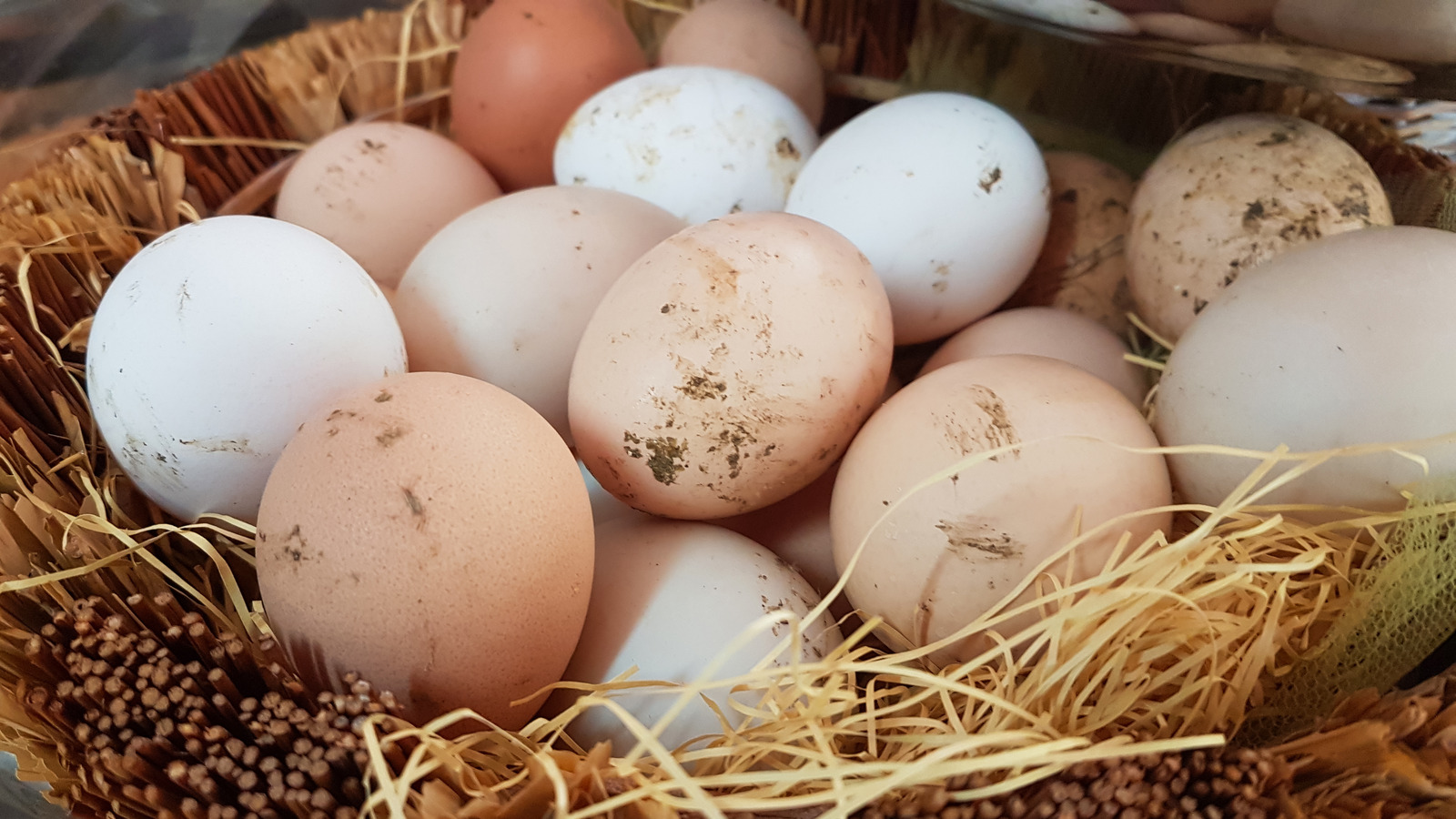 Why Eggs Aren't Always Washed Outside Of The US