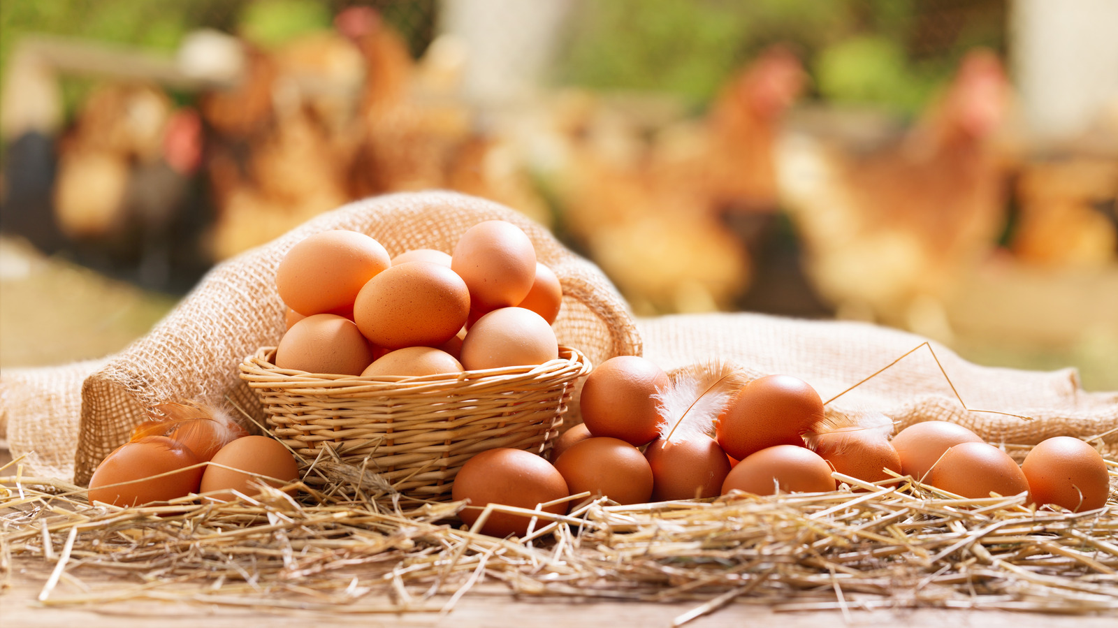 Why Eggs Were Once Forbidden During Lent