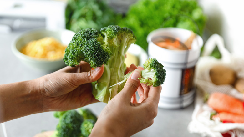 Person preparing fresh broccoli 