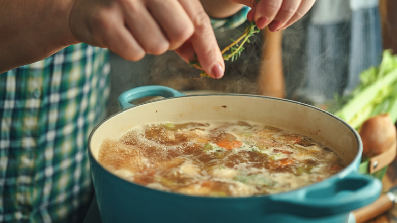 A home cook is making a pot of stock or soup, pinching in some fresh thyme