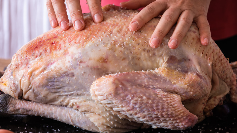 rubbing dry brine on a raw turkey