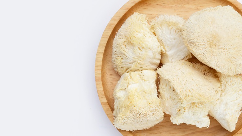 Lion's mane mushroom on wooden plate