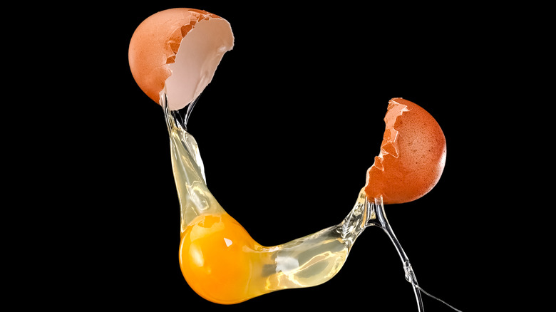 broken egg with black background
