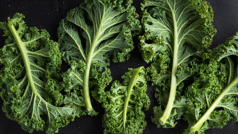 Close up of kale leaves on a black background