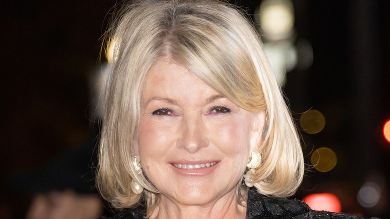 Close-up of Martha Stewart