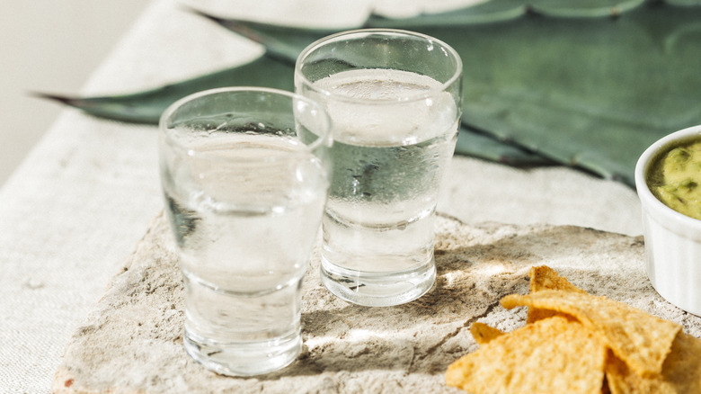 shots of mezcal with agave leaf