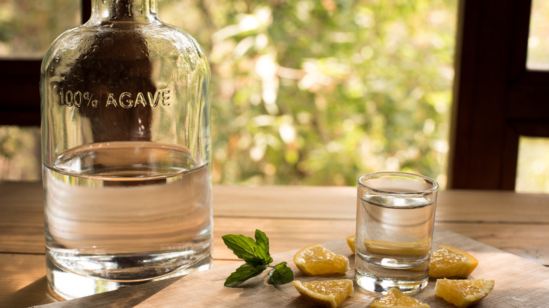 bottle of mezcal with shot glass and orange slices