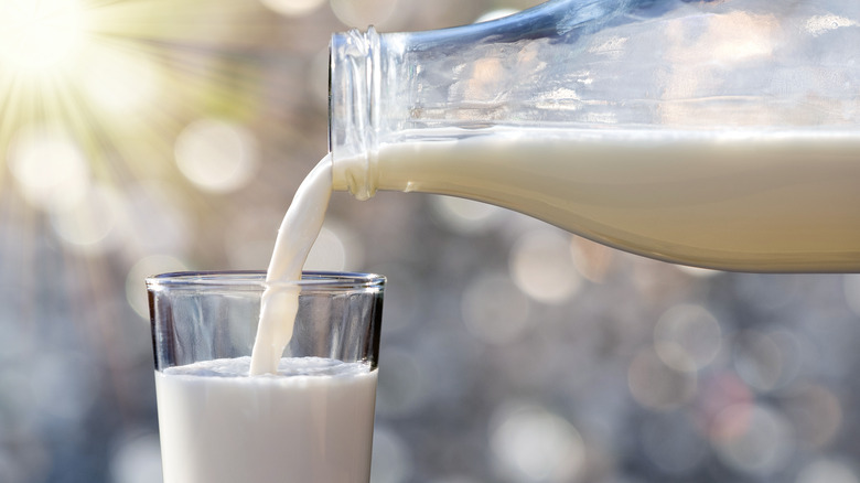 Pouring milk from glass bottle
