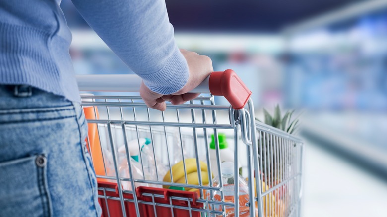 shopper with shopping cart