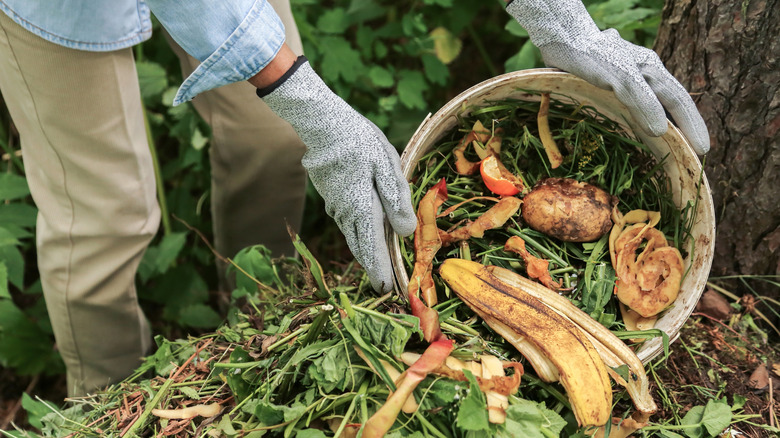 Gloved hands pour a bucket of food waste onto a compost pile