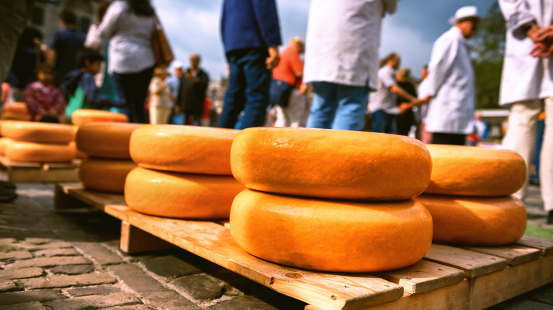 wheels of edam at Holland cheese festival