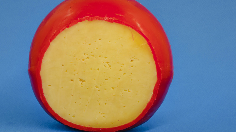 Fresh wax rind Gouda cheese