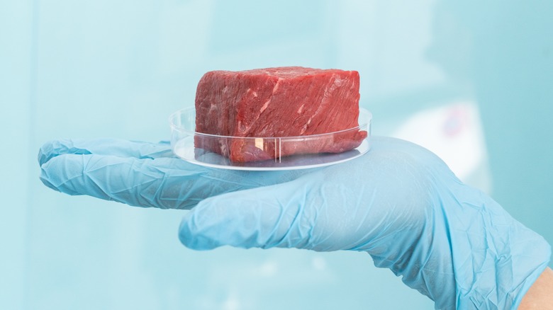 lab-grown meat being held