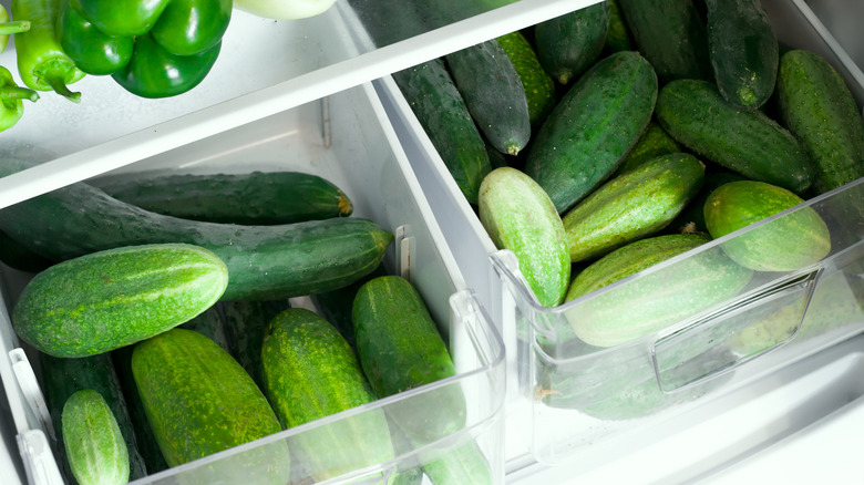 Cucumbers in a fridge drawer