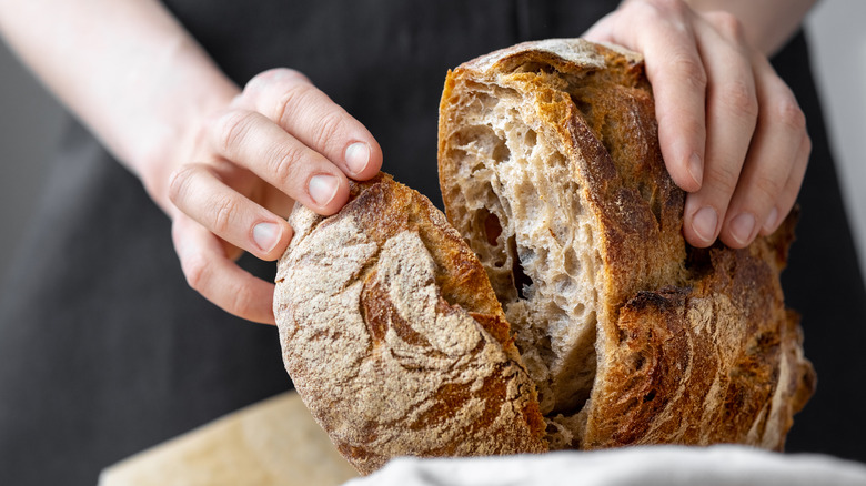 Sourdough bread being sliced