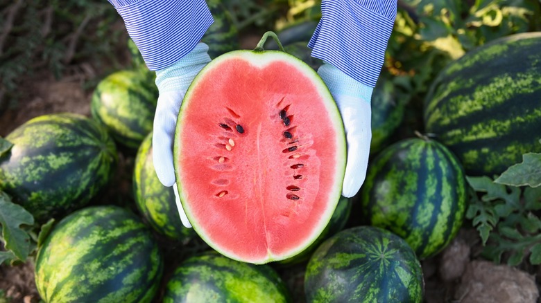 Watermelon sliced open with seeds