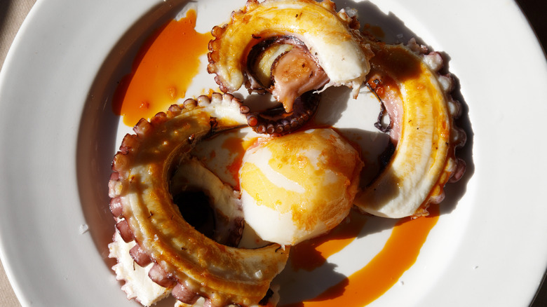 Octopus dish on white plate